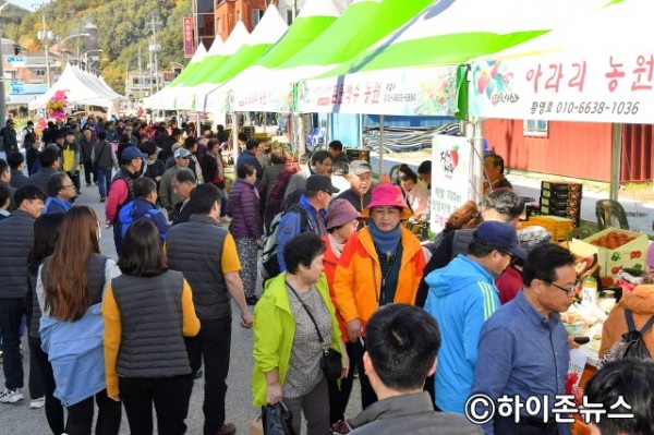 batch_[크기변환]정선사과축제-3.jpg