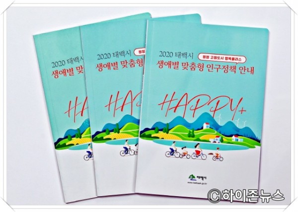 batch_[크기변환]2020 태백시 생애별 맞춤형 인구정책안내 책자.jpg