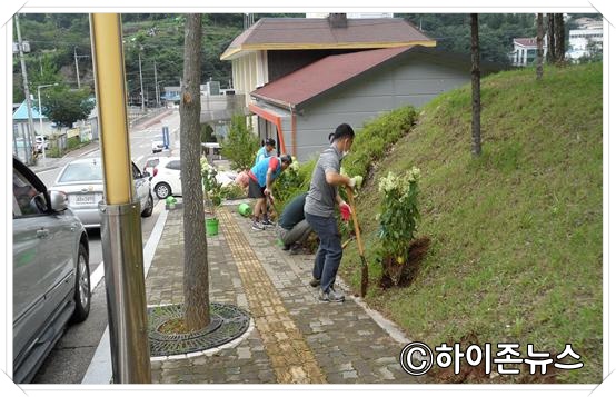 batch_[크기변환]구문소동 바르게살기운동협의회, 공병 수집 판매대금으로 수국 식재.jpg