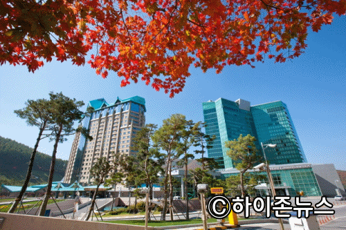 하이원리조트.gif