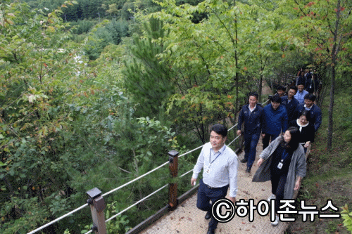 사내증명.gif