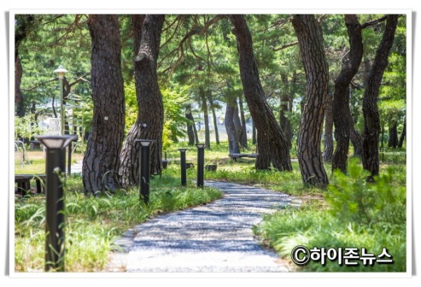 2121111솔밭 산책로.JPG