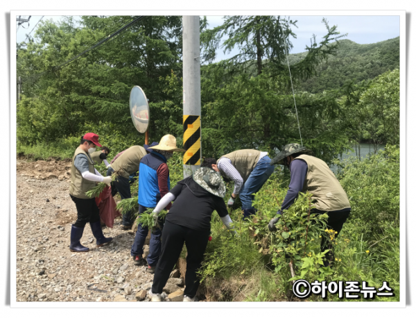 rere[회전]생태교란식물.png