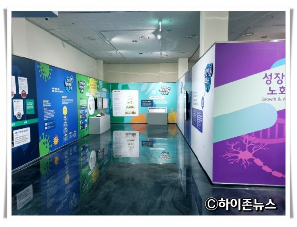 rehi태백고생대자연사박물관 