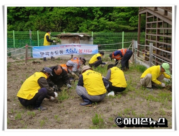 batch_haja(20220513)태백시문곡소도동 태백봉사단, 봄맞이 도라지 밭 잡초 제거 및 주변 환경정화 활동(2).jpg