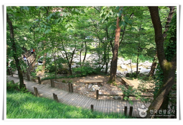 11인598218_image2_1.jpg