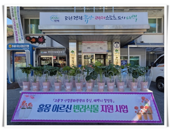 11인4. 태백시 철암동, 홀몸 어르신 반려식물 지원사업 사진전시회 운영 (1).jpg
