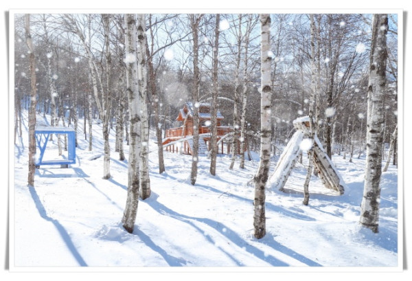 11인2. 태백시, 인플루언서와 손잡고 겨울 콘텐츠 홍보 추진.jpg